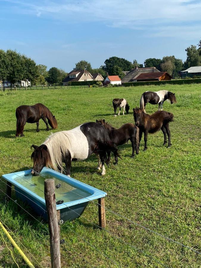 La Vita Veluwe Wapenveld Zewnętrze zdjęcie